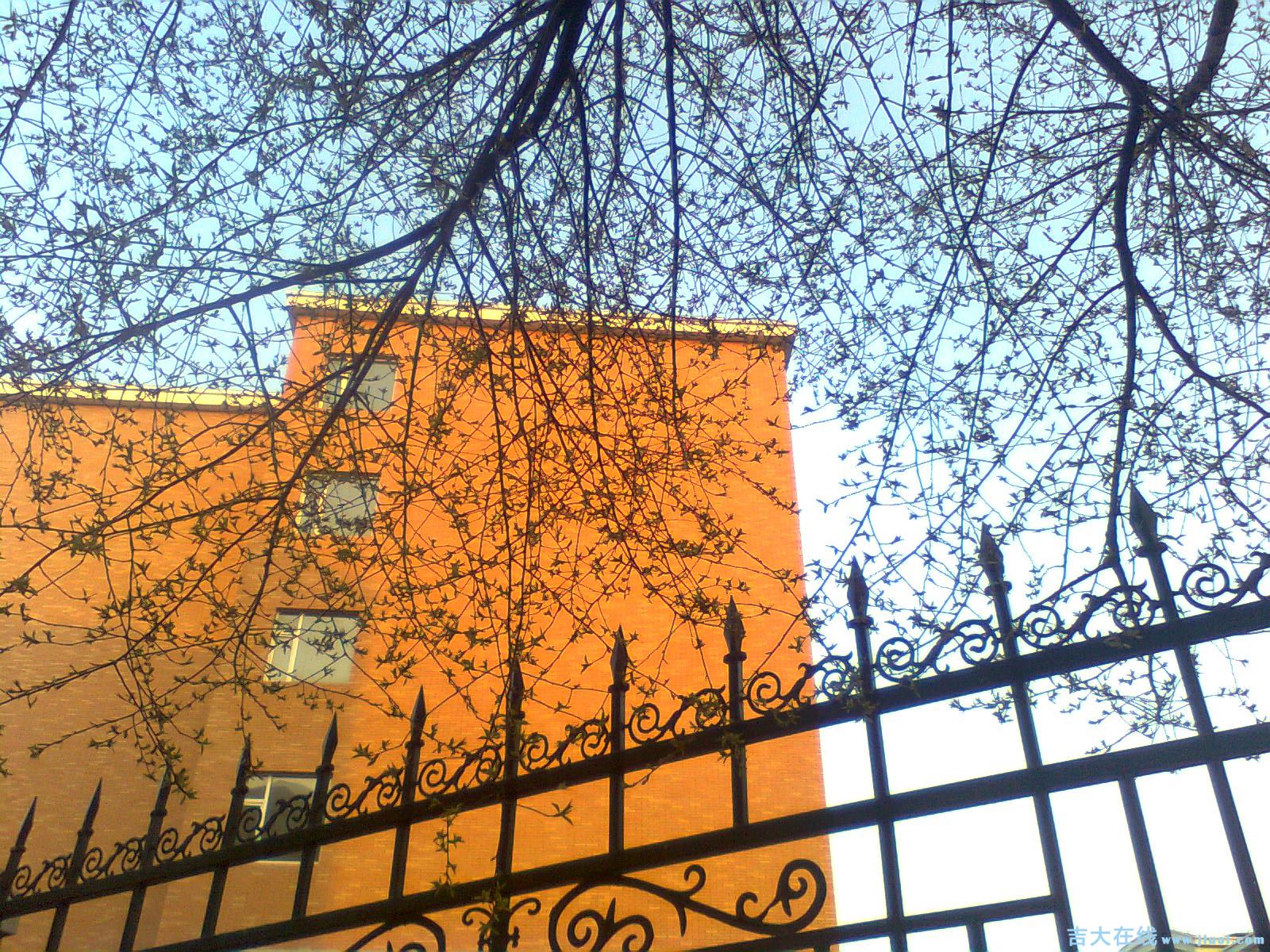 Image2114.jpg