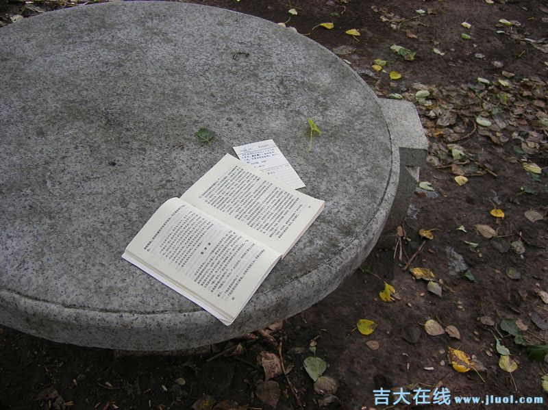 imgp0477_.jpg
