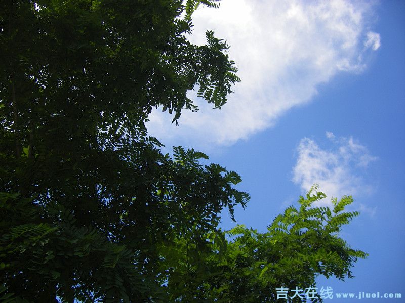 imgp0478_.jpg