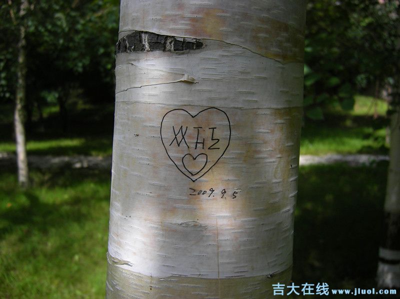 imgp0480_.jpg