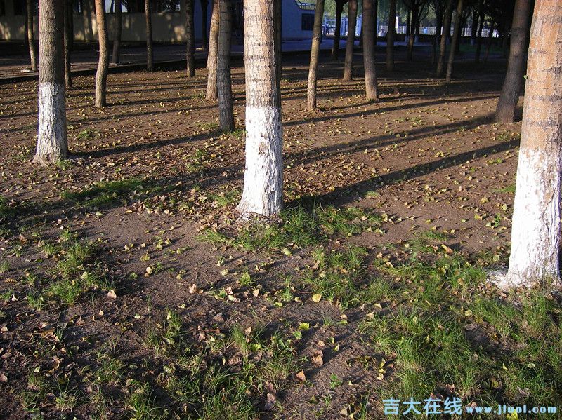 imgp0657_.jpg