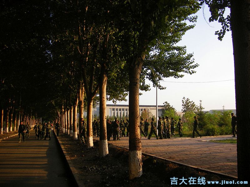 imgp0664_.jpg