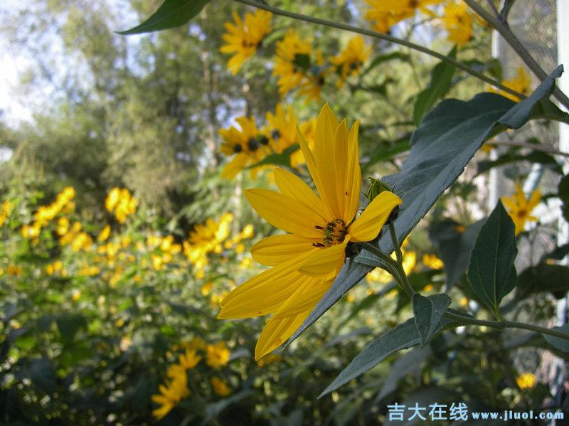 imgp0696_.jpg