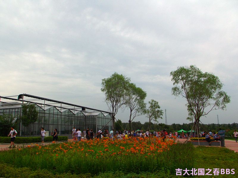 dscf0892_.jpg