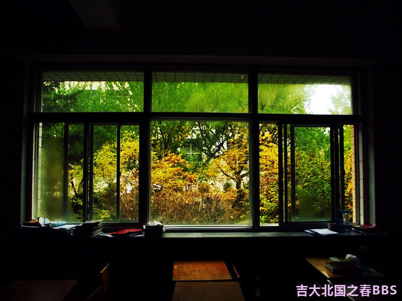 DSCF3059_.jpg