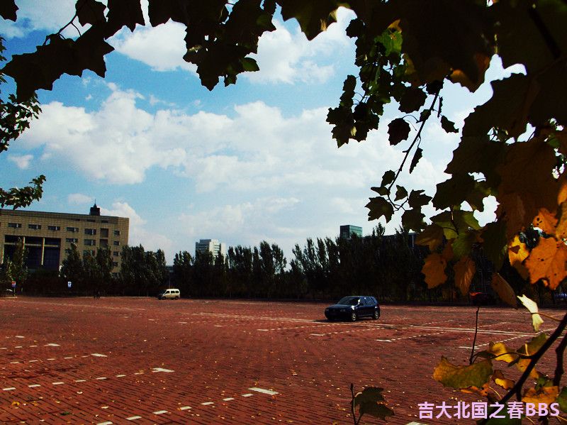 DSCF3385_.jpg