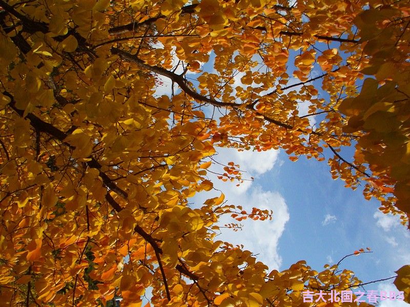 DSCF3449_.jpg