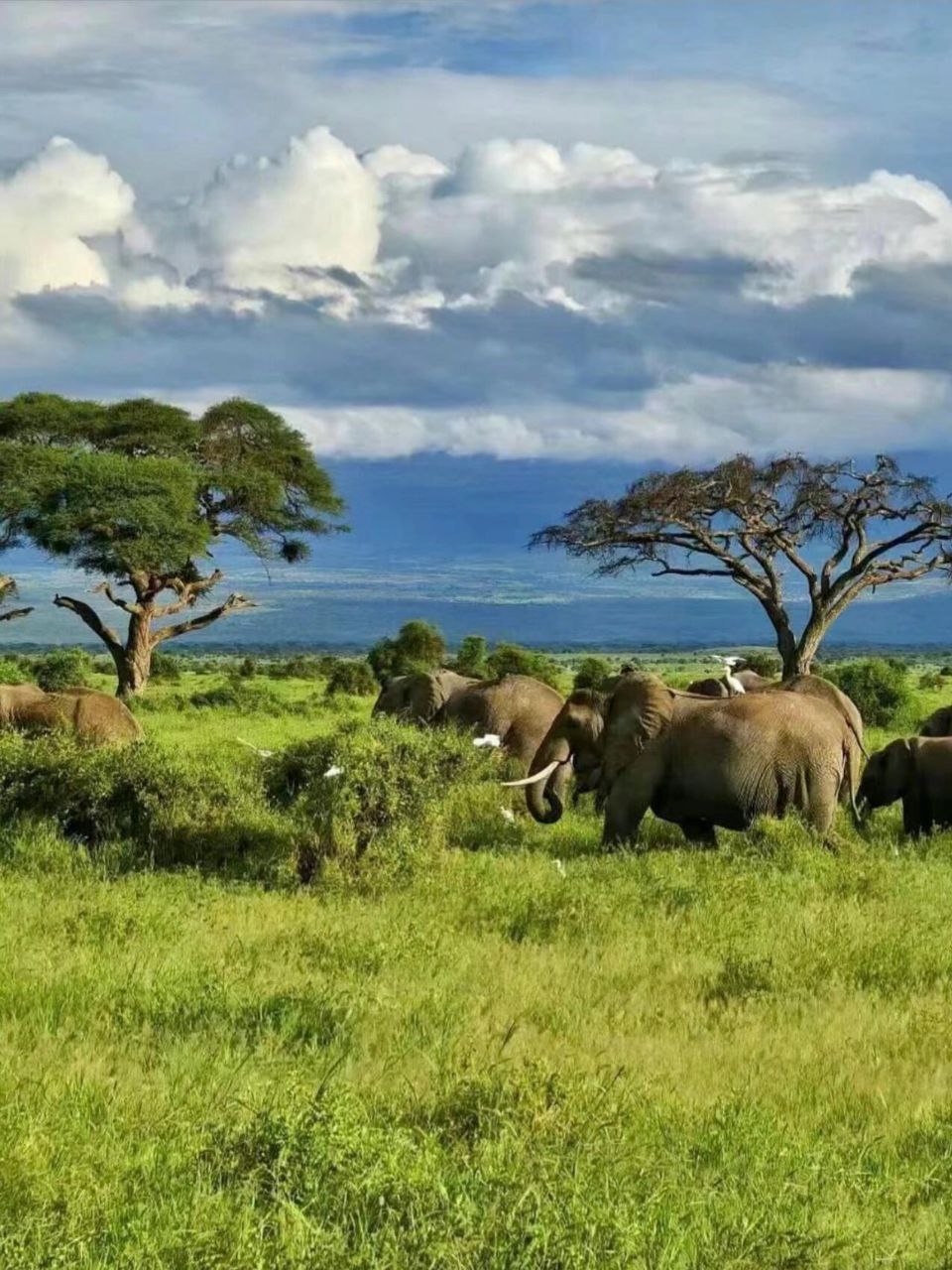 photo_2025-11-08_19-57-29 (3).jpg